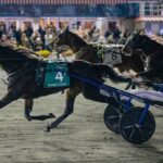 Breeders' Crown - Mohawk Park - Michael Burns Photo