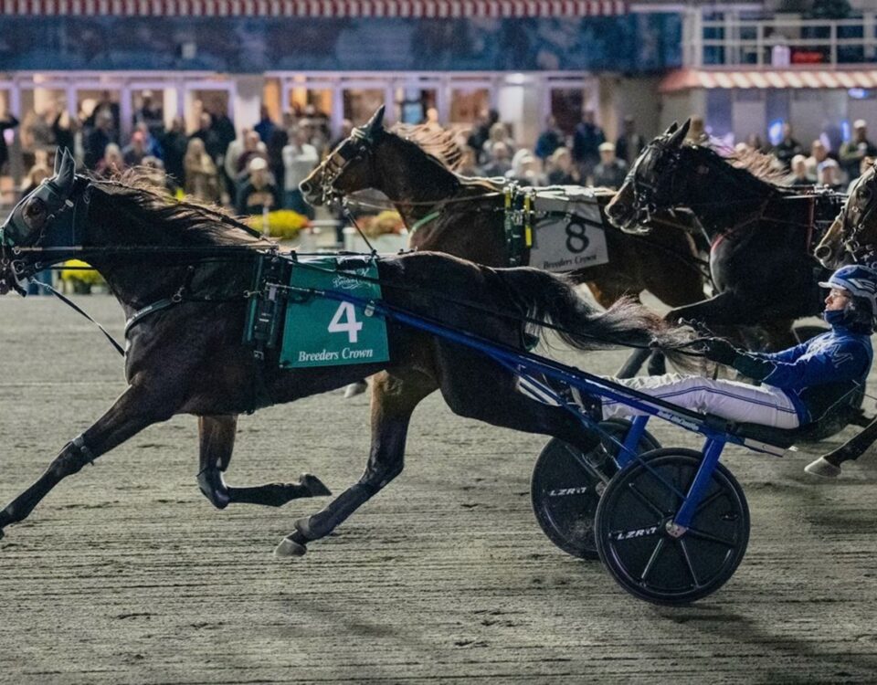 Breeders' Crown - Mohawk Park - Michael Burns Photo
