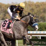 Napoleon Solo - Champagne G1 - Barbara D. Livingston - Daily Racing Form
