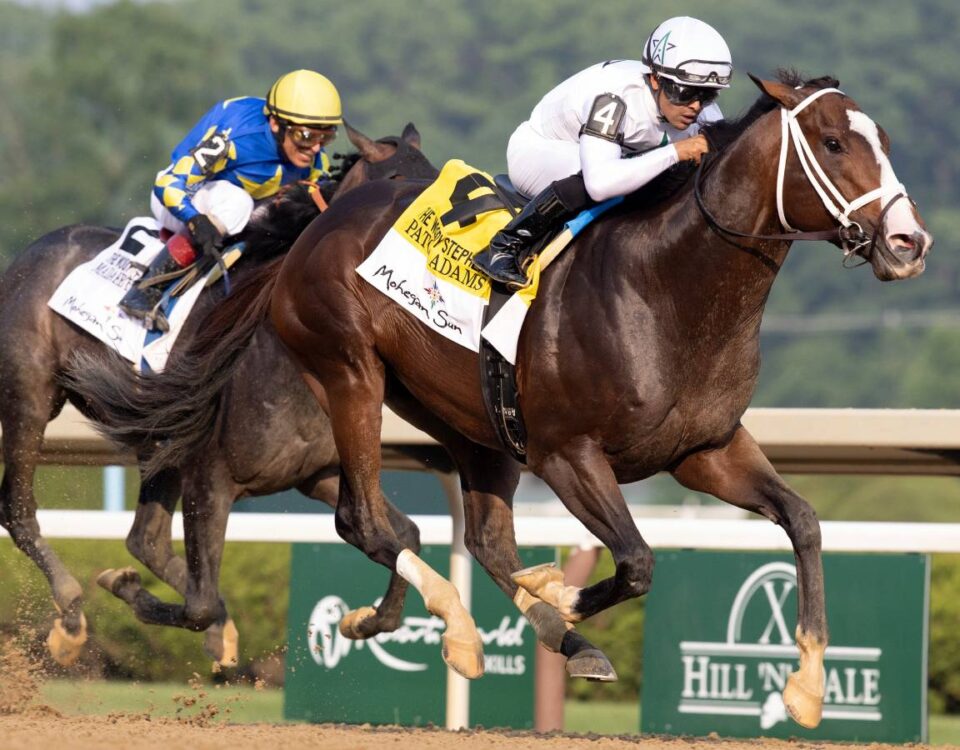 Patch Adams - Barbara D. Livingston/Daily Racing Form