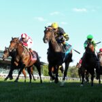 Rhetorical - Coolmore Turf Mile G1 - Coady Media