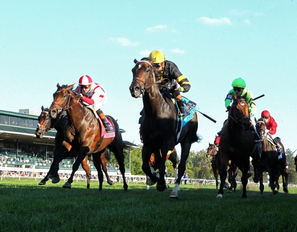 Rhetorical - Coolmore Turf Mile G1 - Coady Media