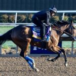 Seismic Beauty - Debra A. Roma - Daily Racing Form