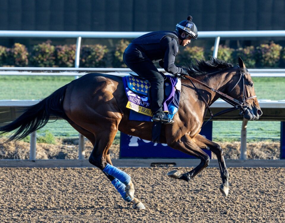 Seismic Beauty - Debra A. Roma - Daily Racing Form