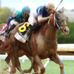 Shot Of Courage - Coady Media