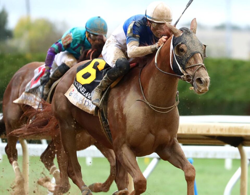 Shot Of Courage - Coady Media