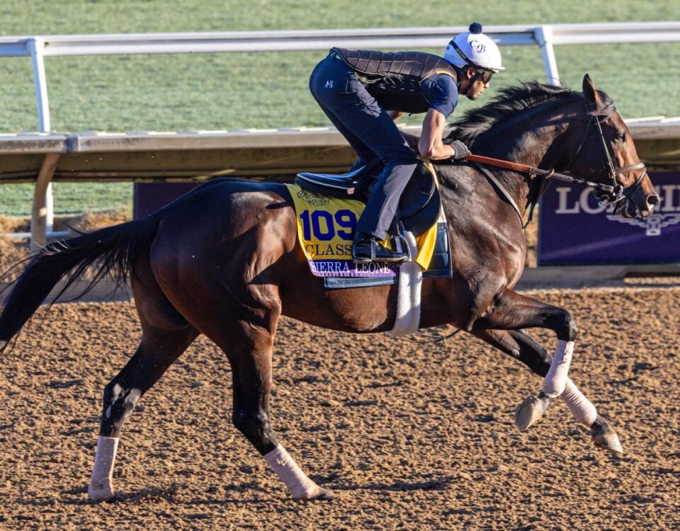 Sierra Leone - Debra A. Roma - Daily Racing Form