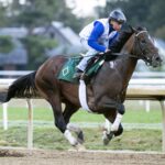 Sovereignty - Barbara D. Livingston - Daily Racing Form