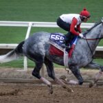 Sweet Azteca - Barbara D. Livingston - Daily Racing Form