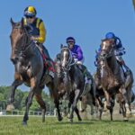Laurel Park scenic - Jerry Dzierwinsky