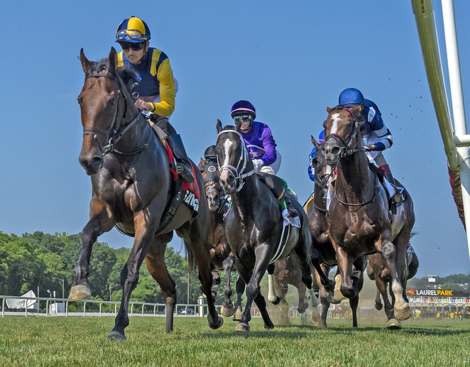 Laurel Park scenic - Jerry Dzierwinsky