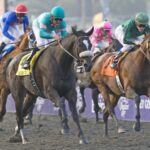 Zenyatta - BC Classic 2009 - Barbara D. Livingston - Daily Racing Form