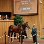 $1.3 Million Bishops Bay KEE Nov HRA Sale - credit: Keeneland Sales / Coady Media