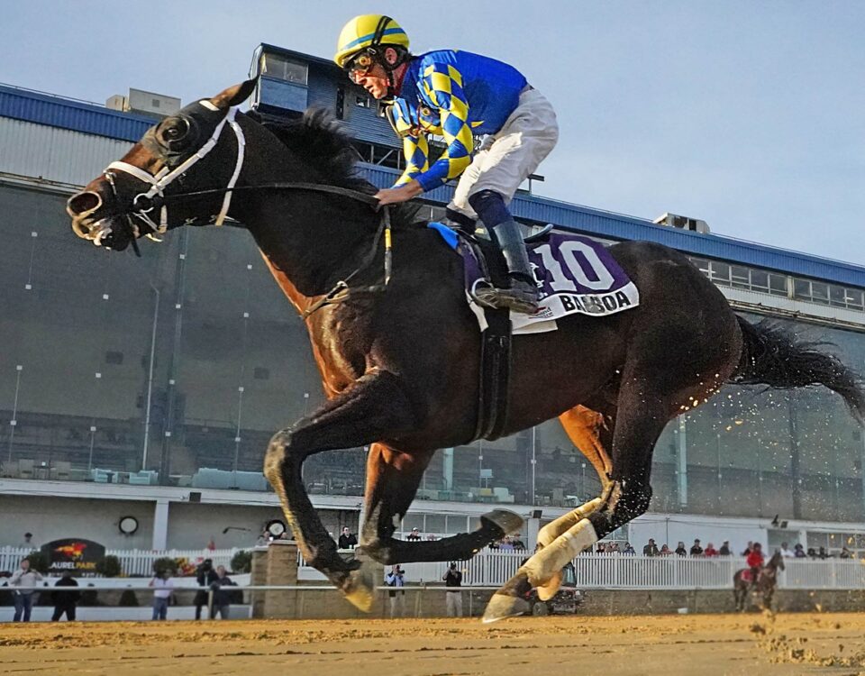 Balboa - James F. Lewis III Stakes - Jeffrey Snyder/TMJC