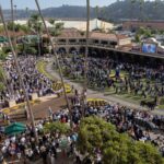 Breeders' Cup scenic Paddock Del Mar- Justin Lane - Daily Racing Form