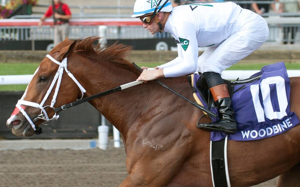 Caitlinhergrtness - Ontario Matron Stakes - Michael Burns