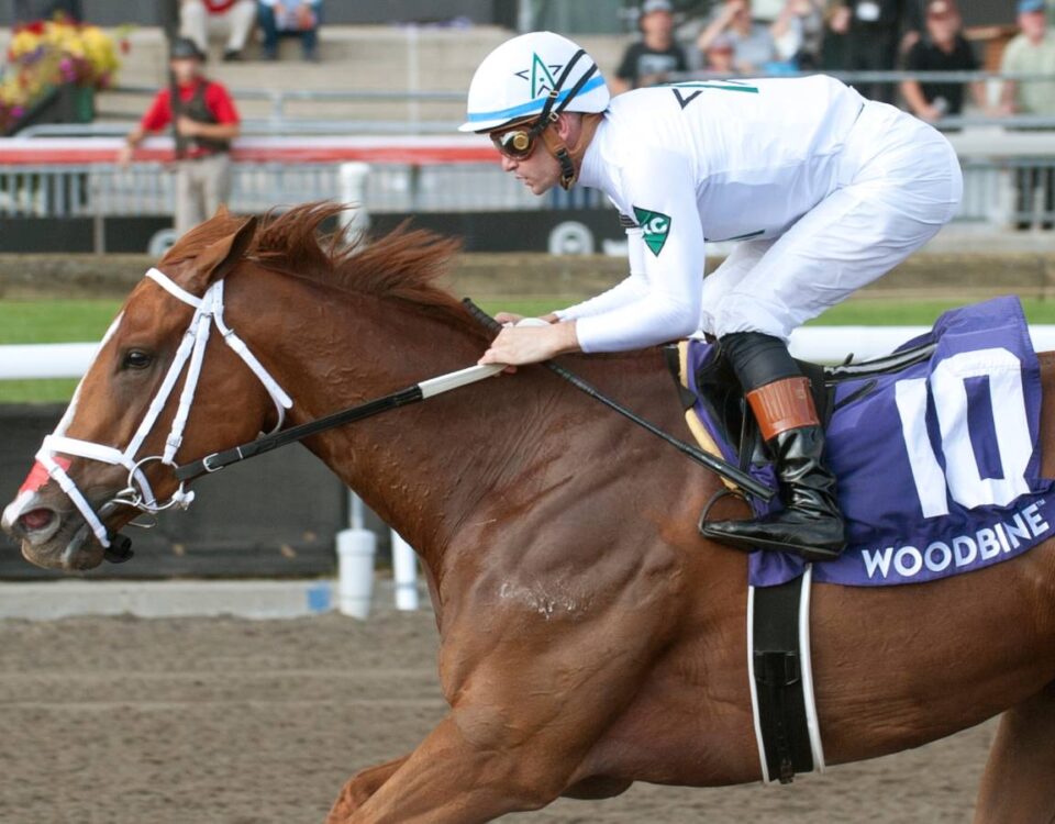 Caitlinhergrtness - Ontario Matron Stakes - Michael Burns