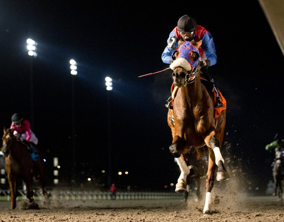 Fire and Wine - $250,000 Coronation Futurity - Woodbine / Michael Burns Photo