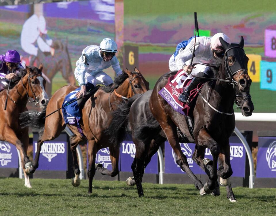 Ethical Diamond - BC Turf - Barbara D. Livingston - Daily Racing Form