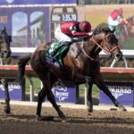 Forever Young - Barbara D. Livingston - Daily Racing Form