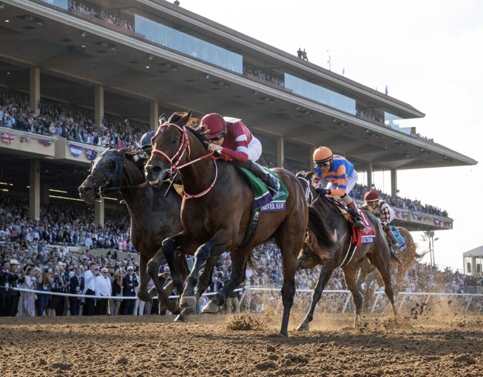 Forever Young - BC Classic - Debra A. Roma - Daily Racing Form