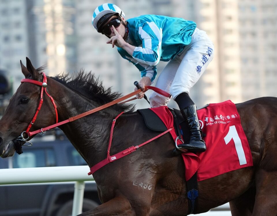 Romantic Warrior - Jockey Club Cup G2 - Foto credito: Hong Kong Jockey Club / Media
