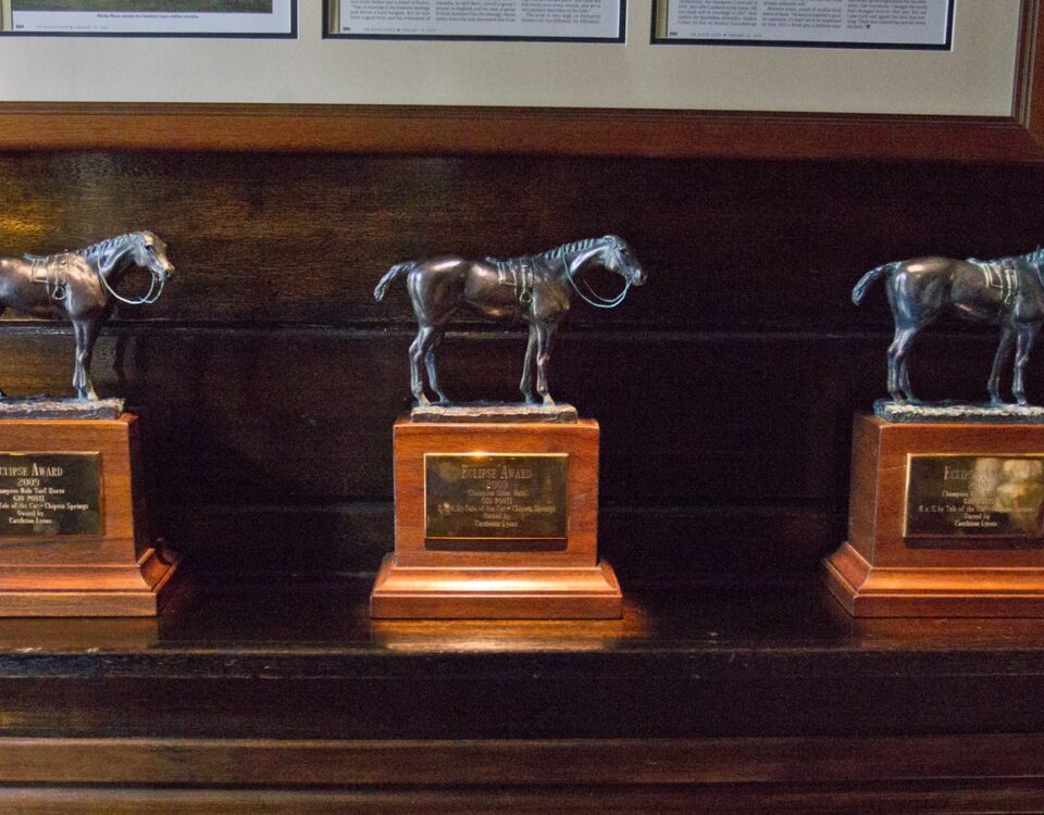 Eclipse Award Trophy - Barbara D. Livingston - Daily Racing Form