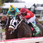 Glorious Boy - Pulpit Stakes - Ryan Thompson/Coglianese Photo