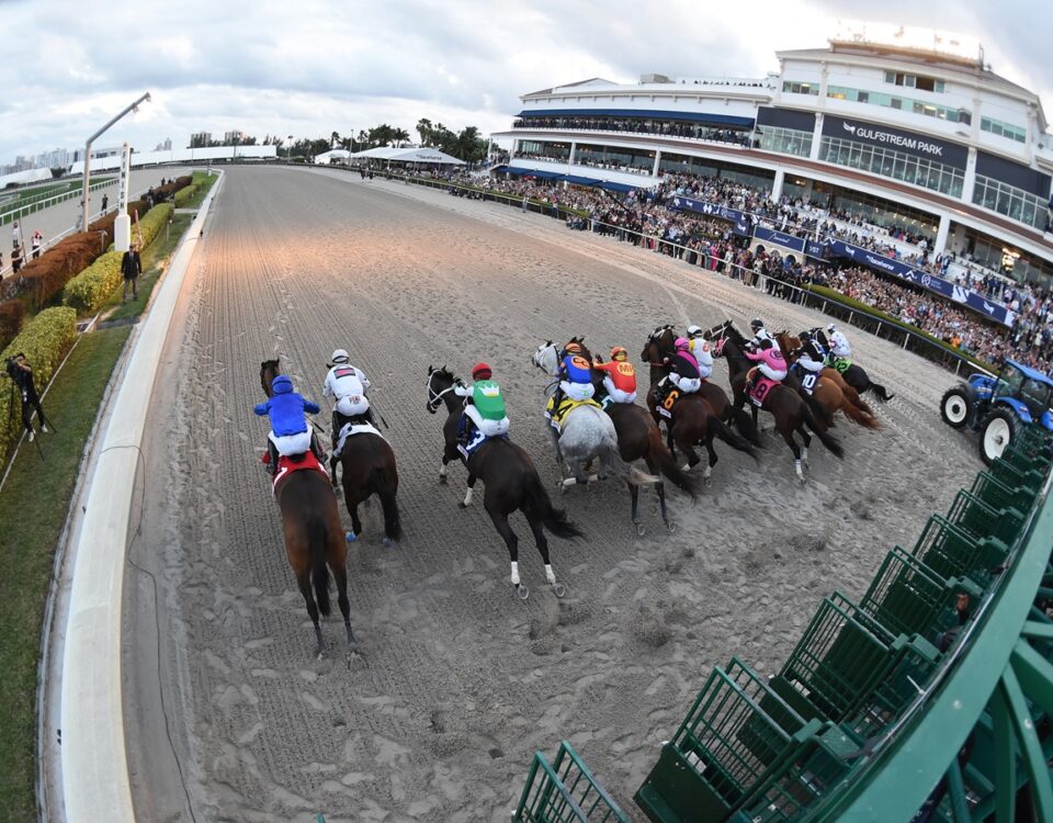 Gulfstream Park Start - Ryan Thompson/Coglianese Photo