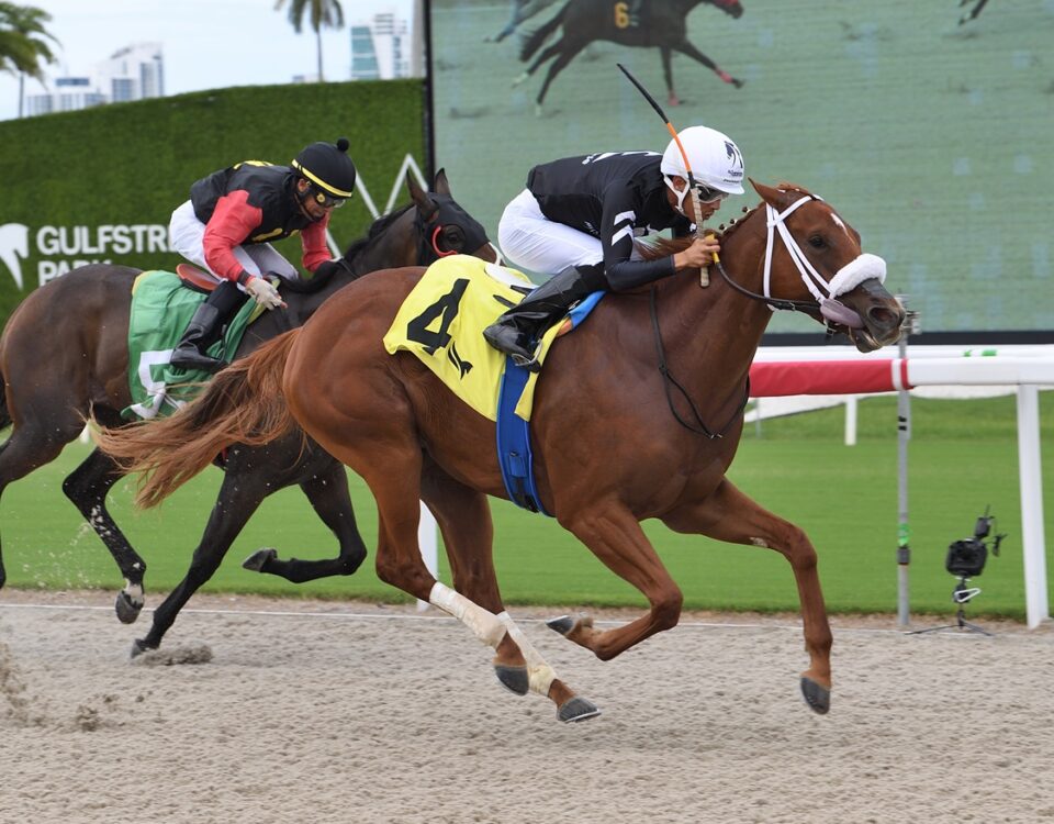 Mystical Bell - Ryan Thompson/Coglianese Photos