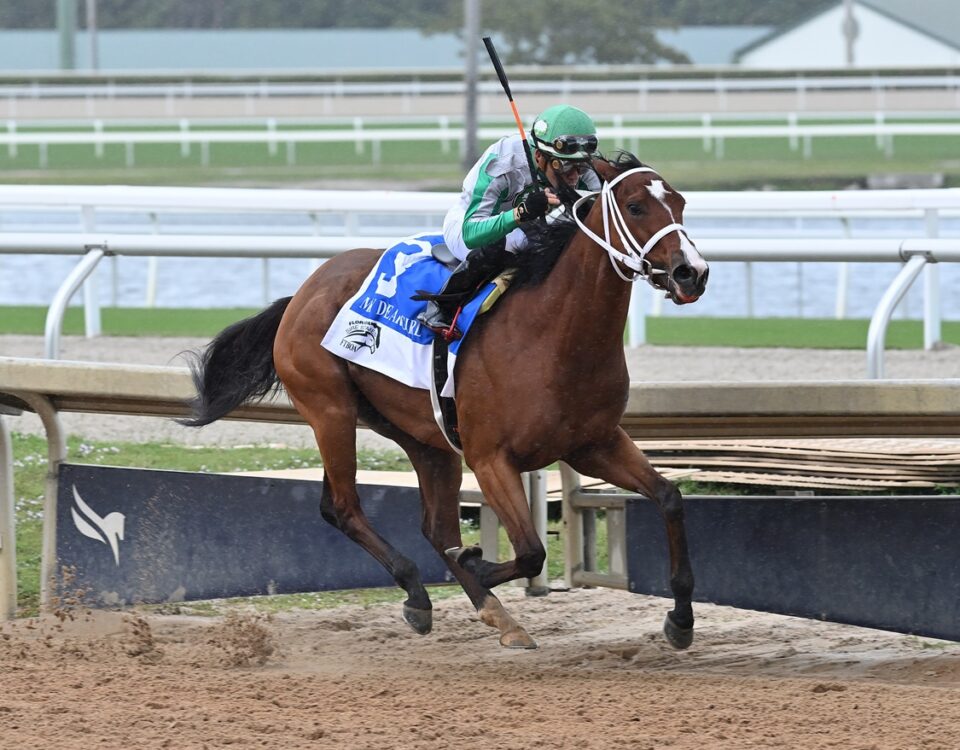 Mythical - Florida Sire My Dear Girl Stakes - Lauren King/Coglianese Photo