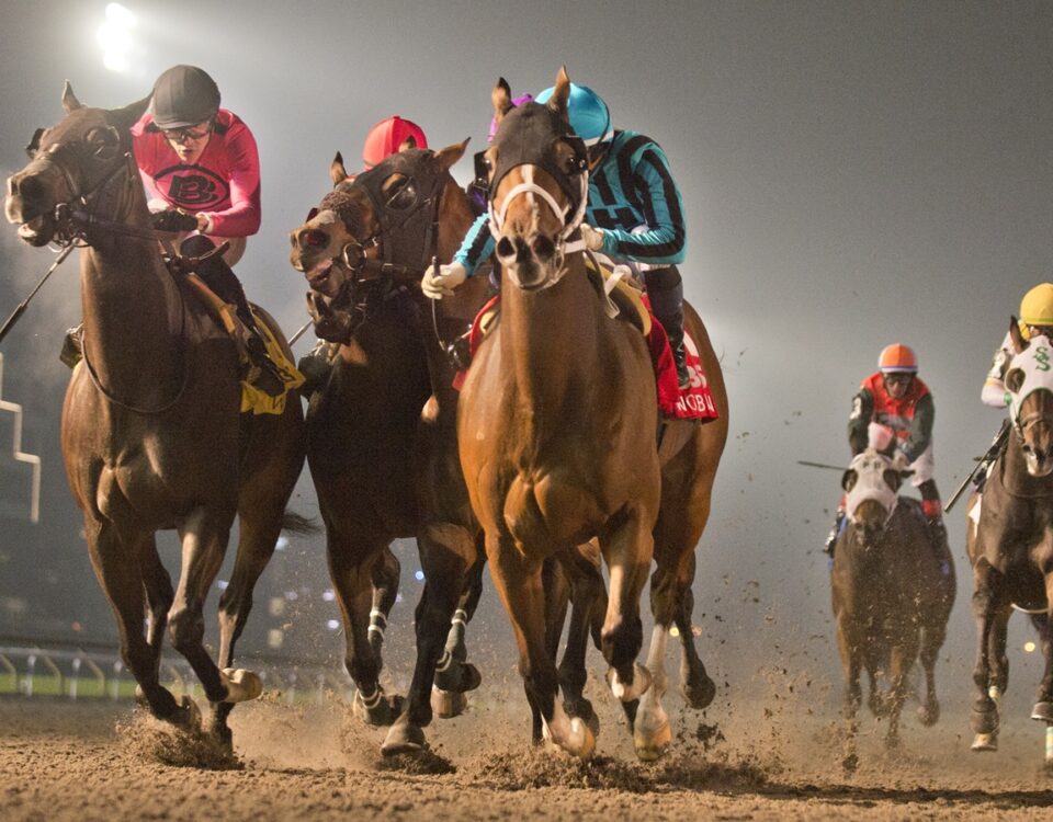 Nobals - bet365 Kennedy Road Stakes G2 - Michael-Burns