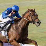 Notable Speech - BC Mile - Barbara D. Livingston - Daily Racing Form