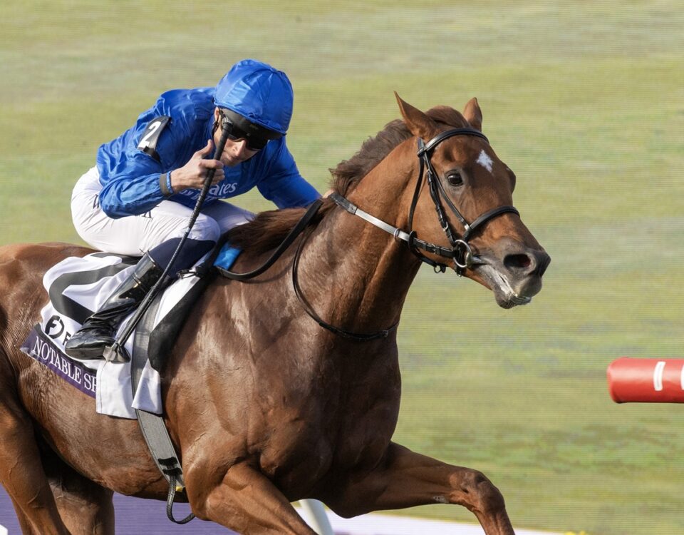 Notable Speech - BC Mile - Barbara D. Livingston - Daily Racing Form