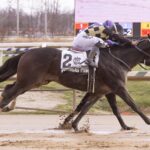 Petingas Twin - Dave's Friend Stakes - Jim McCue