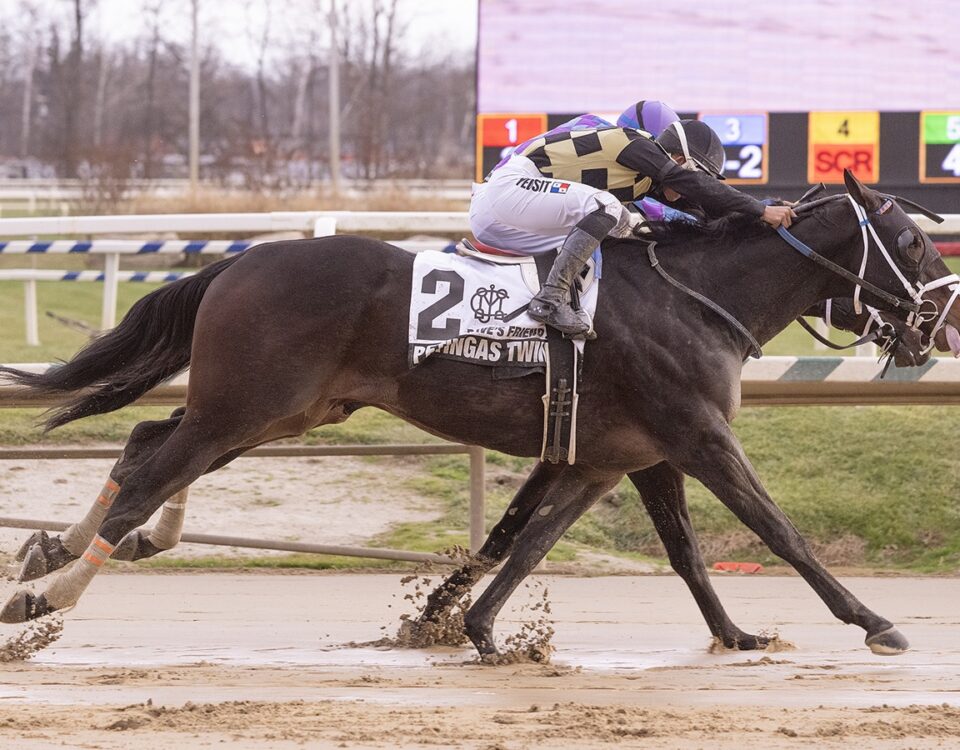 Petingas Twin - Dave's Friend Stakes - Jim McCue
