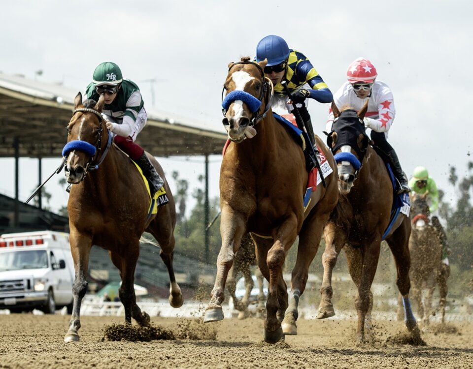 Pilot Commander - San Carlos Stakes G3 - Benoit Photo