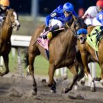 Pondering - Bessarabian Stakes G3 - Michael Burns