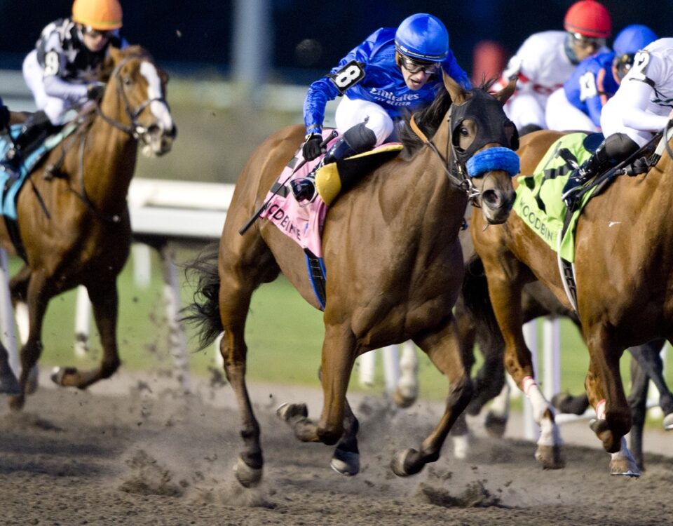 Pondering - Bessarabian Stakes G3 - Michael Burns