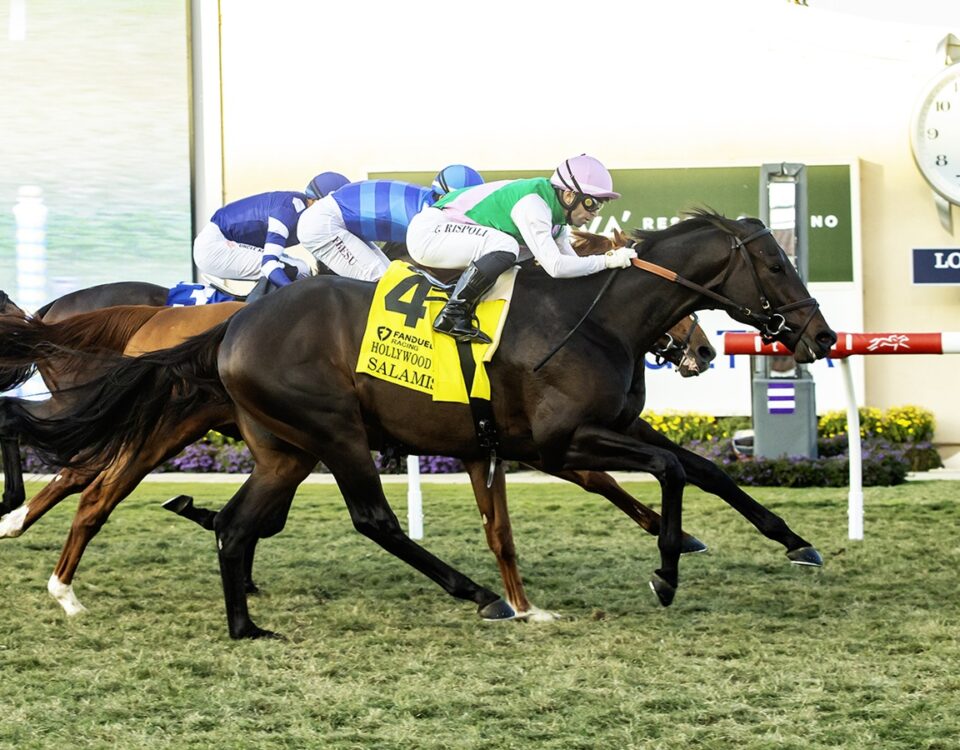 Salamis - Hollywood Derby G1 $300,000 Del Mar - Benoit Photo