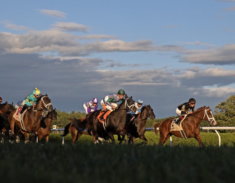 Foto: Barbara D. Livingston / Daily Racing Form