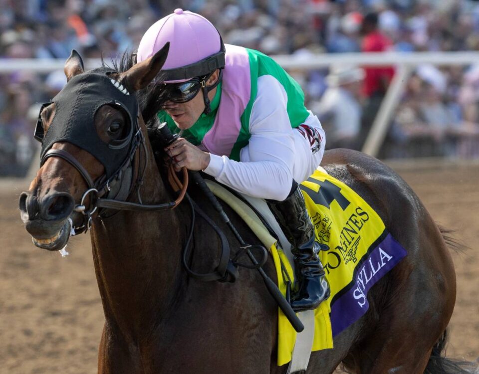 Scylla - BC Distaff - Debra A. Roma - Daily Racing Form