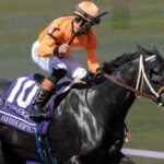 Shisospicy - BC Turf Sprint - Barbara D. Livingston - Daily Racing Form