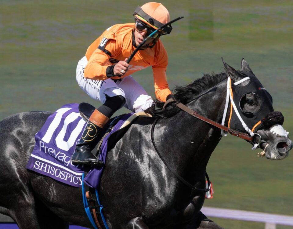 Shisospicy - BC Turf Sprint - Barbara D. Livingston - Daily Racing Form