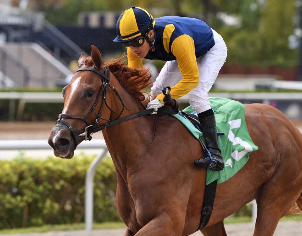 Sister Troienne - Wait a While Stakes - Ryan Thompson/Coglianese Photo