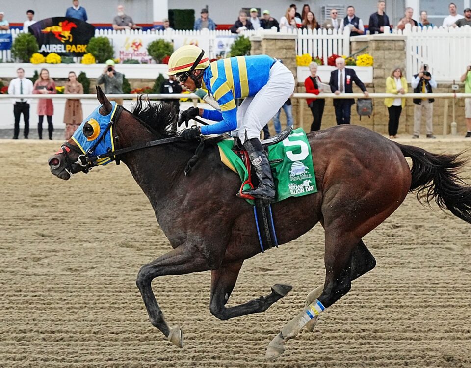 Slam Notion - Jeffrey Snyder/TMJC