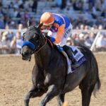 Splendora - BC Filly and Mare Sprint - Debra A. Roma - Daily Racing Form