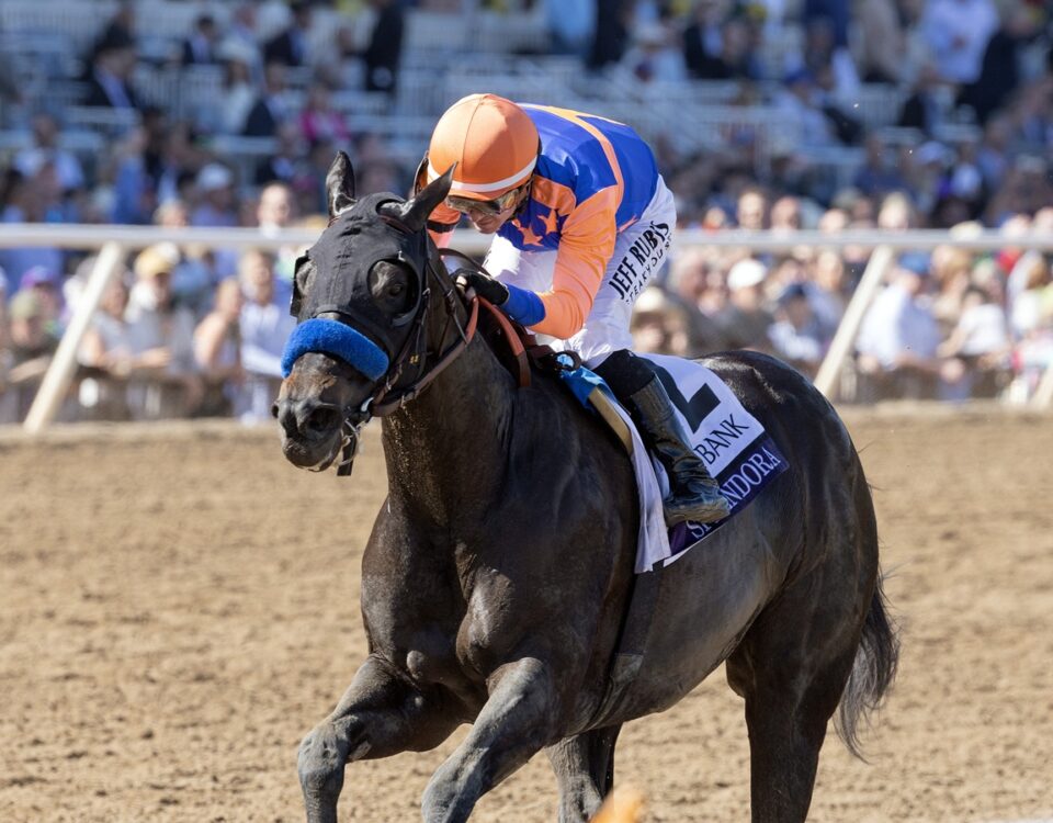 Splendora - BC Filly and Mare Sprint - Debra A. Roma - Daily Racing Form