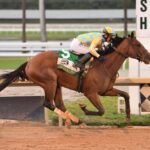 Strategic Risk - the Florida Sire Stakes In Reality div. - Coglianese Photo