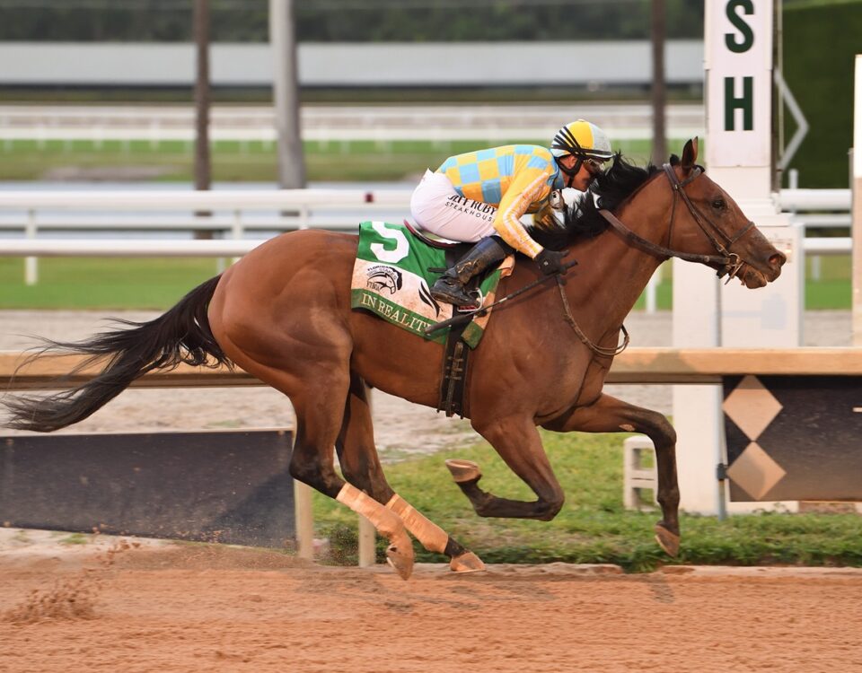 Strategic Risk - the Florida Sire Stakes In Reality div. - Coglianese Photo